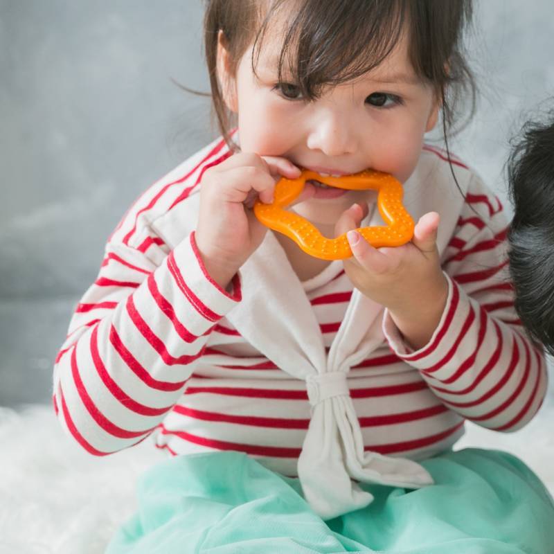 Bioserie Teether